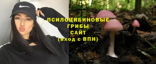 jwh Верея