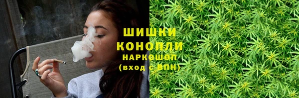 сатива Волоколамск