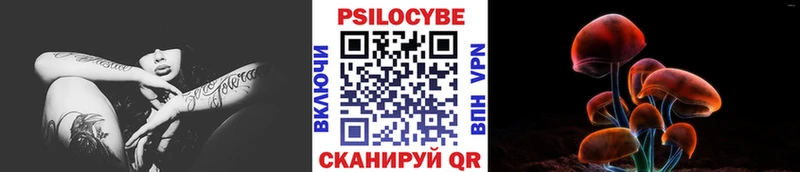 Псилоцибиновые грибы ЛСД  Камышлов 